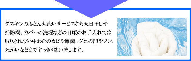 ふとんまる洗い宅配サービス野木町