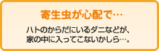 寄生虫が心配で