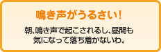 鳩の鳴き声がうるさい